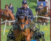 1POSIEUX 0353
